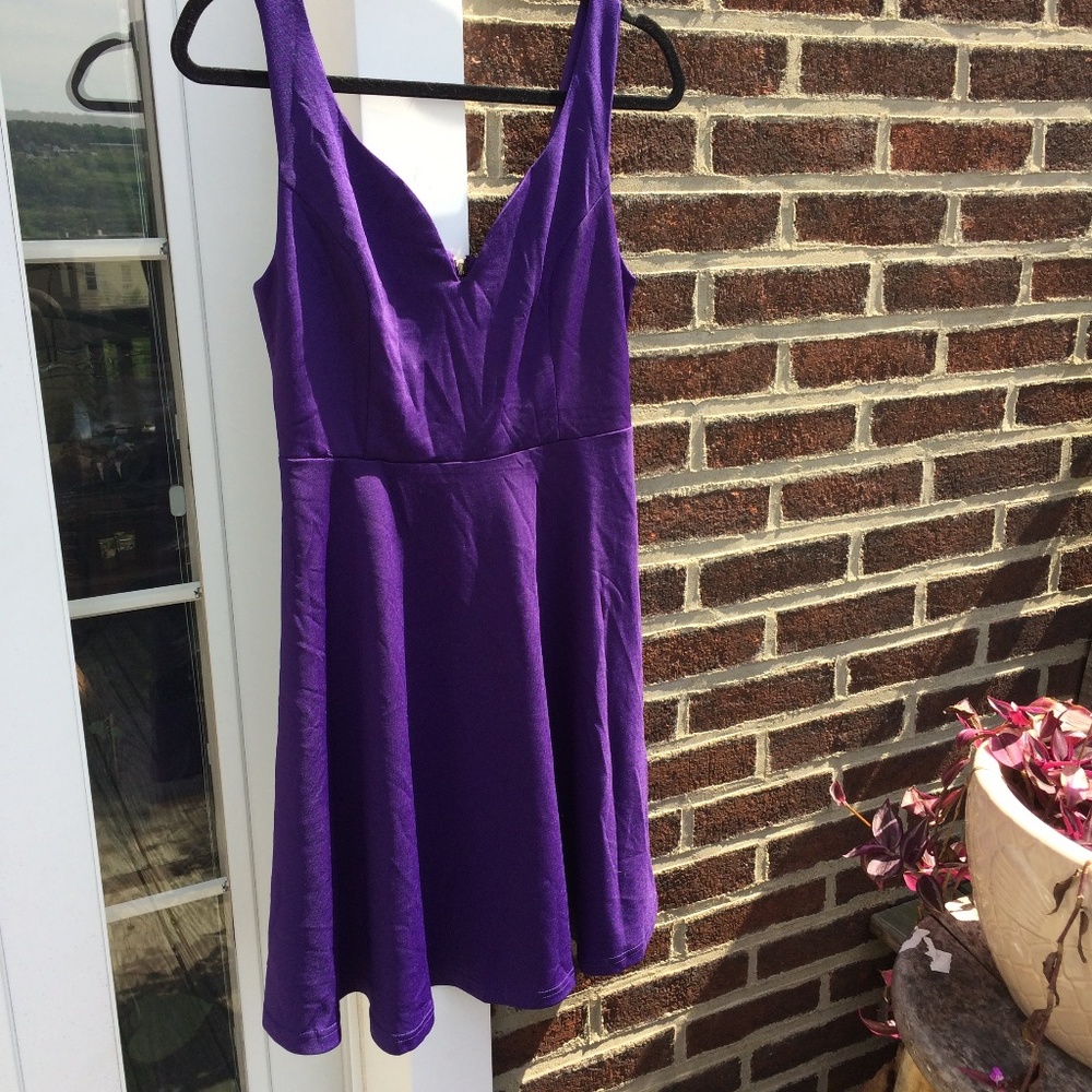 Purple Fit and Flare Dress